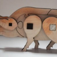 PEG-PIG