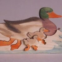 MM-DUCKS