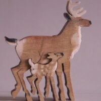 MM027-BLACKTAIL-DEER