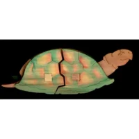 PEG-TURTLE