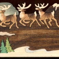 V005-SANTAS SLEIGH