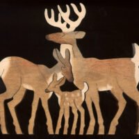 W003-DEER FAMILY