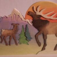 W070-BUGLING BULL ELK